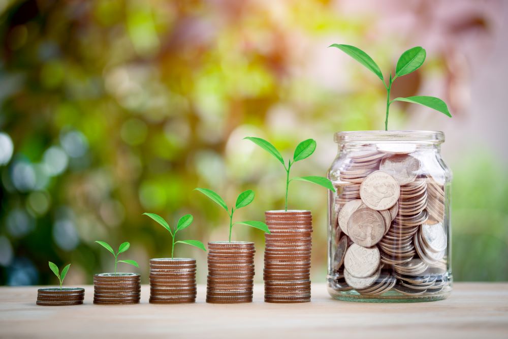 Plant growing from a stack of coins