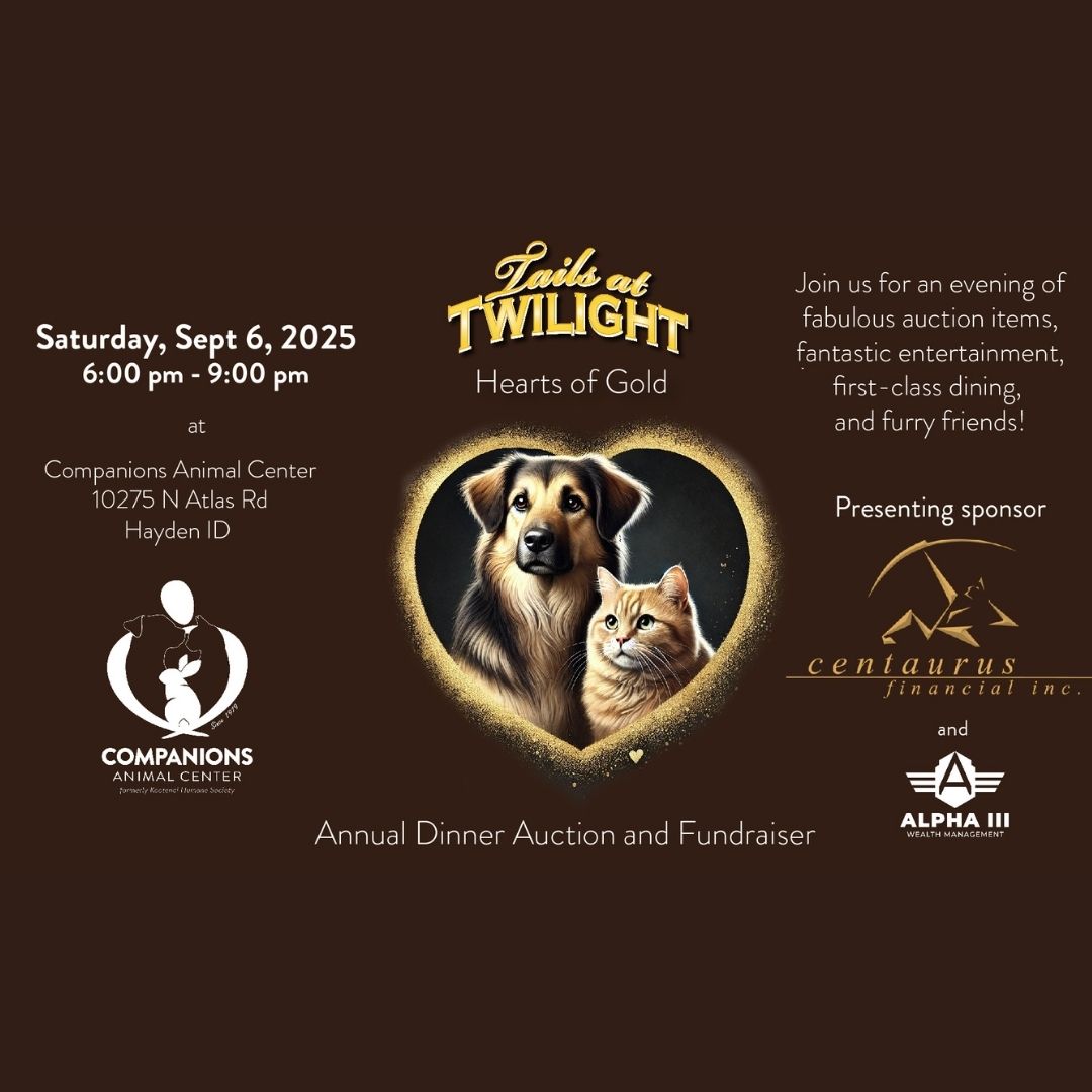 An image of a cat and dog to support their charity sponsorship